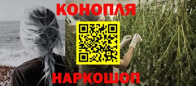 мяу мяу мука Аргун
